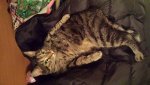 20131010_225343.jpg