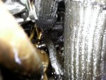 20140115_095228.jpg