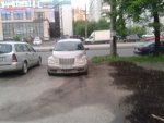 WP_000456.jpg
