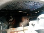 20150714_183756.jpg