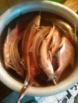 IMG-20161017-WA0000.jpg