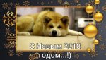 IMG-20171229-WA0003.jpg