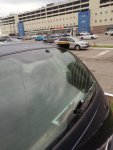 IMG_20250529_195953.jpg