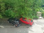 .trashed-1748963992-IMG_20250504_154923039.jpg