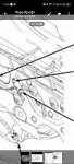IMG_20260503_152243_904.jpg