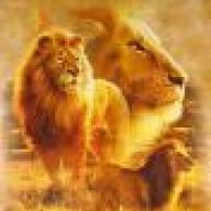 Liongirl